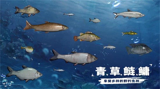 天天釣魚水族館收入如何計算